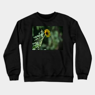 Wake Up and Follow the Sun Little Sunflower Crewneck Sweatshirt